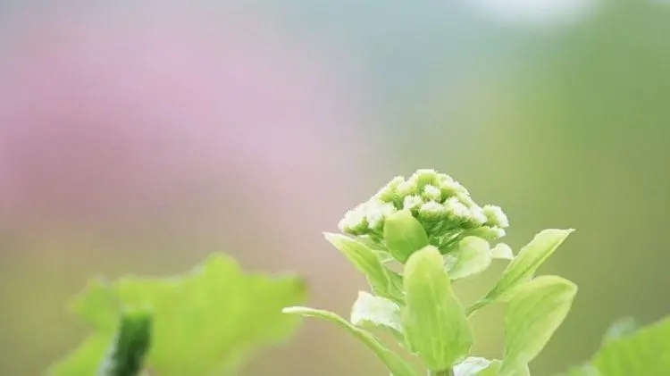 不同症状的癫痫疾病应该如何治疗呢