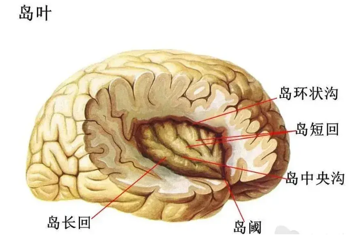 重庆癫痫病医院_治疗癫痫所需费用是多少?